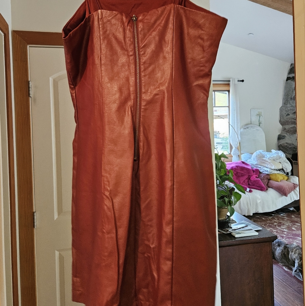 Wild Fable Rust Leather Dress - Picture 2 of 5